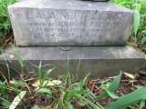 image of grave number 543058